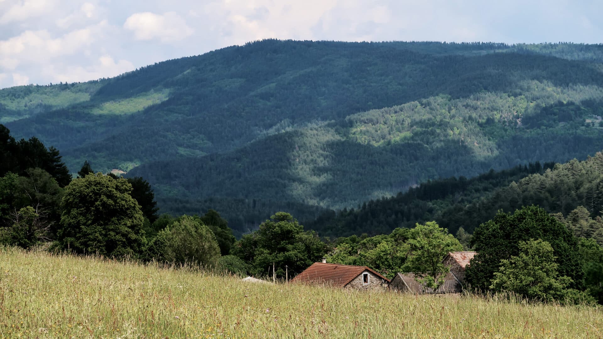 La cueillette des châtaignes et des champignons