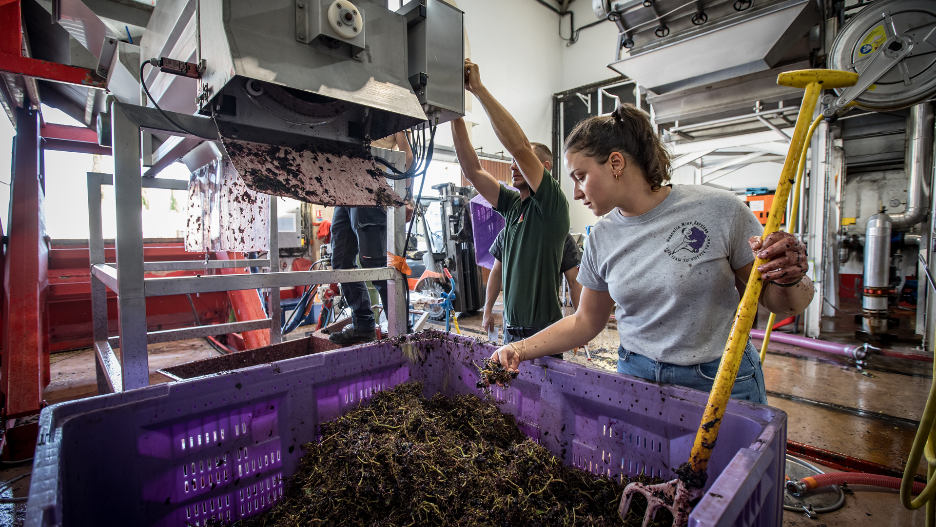 Costières de Nîmes, Chateau de Nages