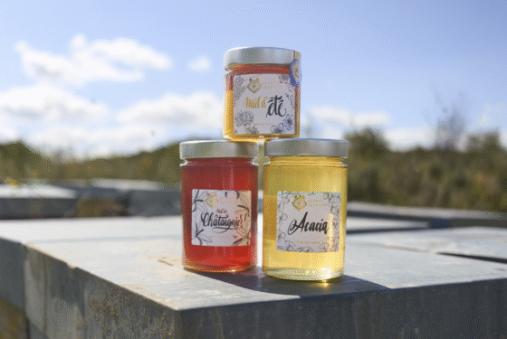 à Parignargues, cet éleveur d'abeilles travaille des miels de garrigue