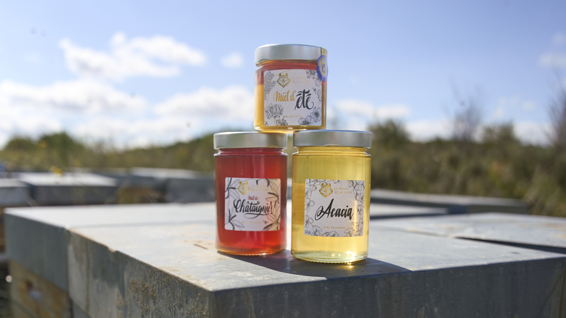 à Parignargues, cet éleveur d'abeilles travaille des miels de garrigue