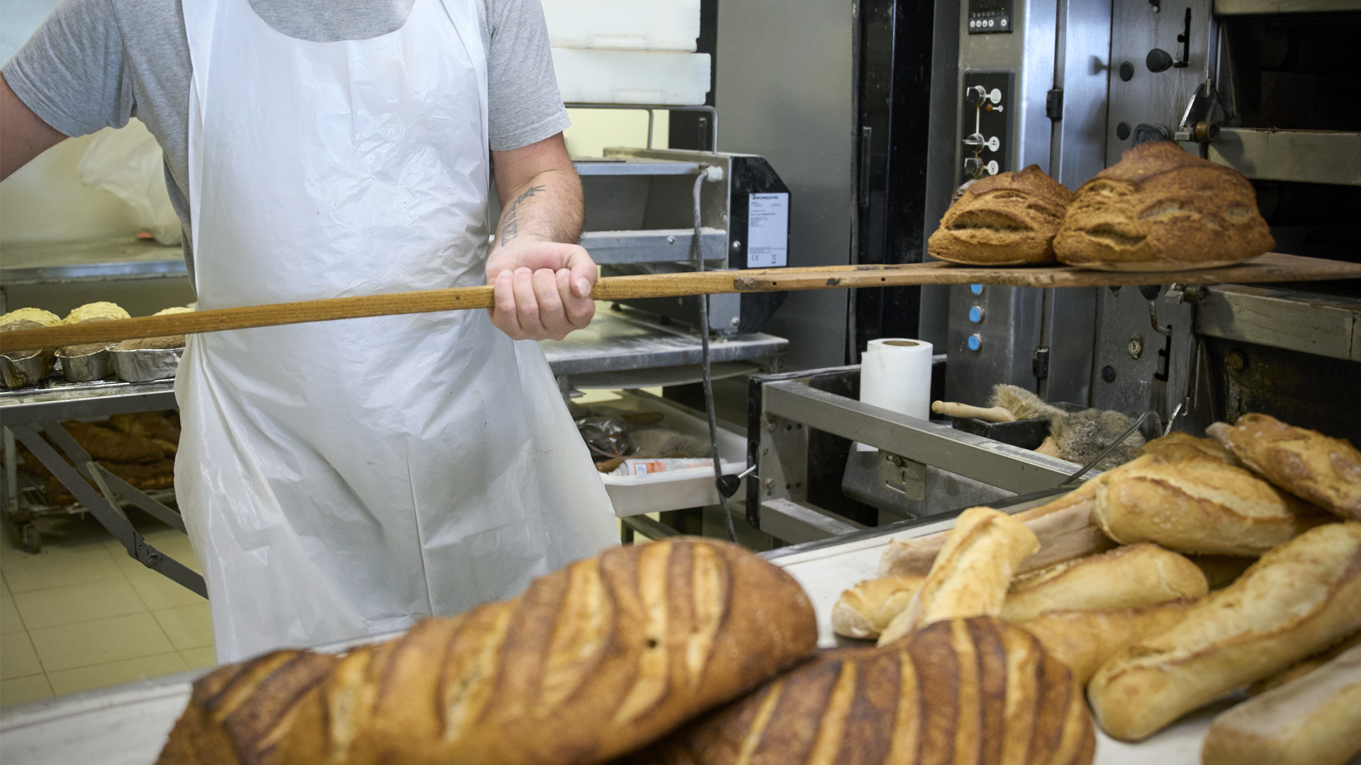 Saint-Hippolyte-du-Fort, Frédéric Plaza, patron de la Cigaloune