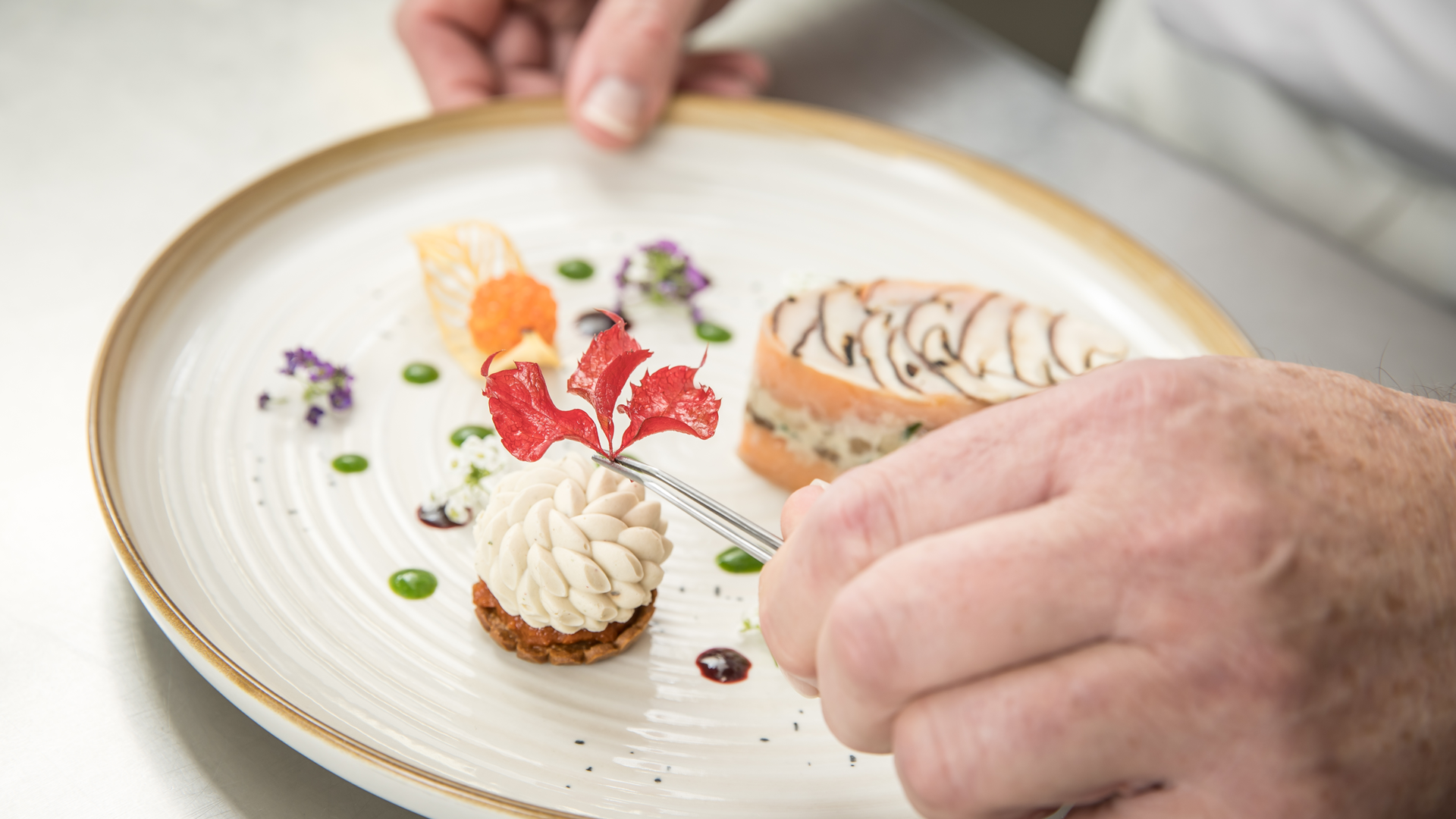 Damien Sanchez* et Frédéric Rame