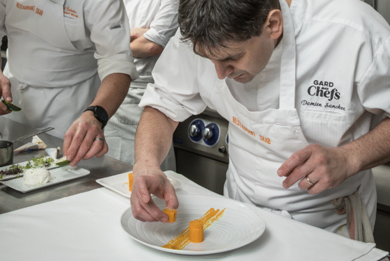 Damien Sanchez* et Frédéric Rame