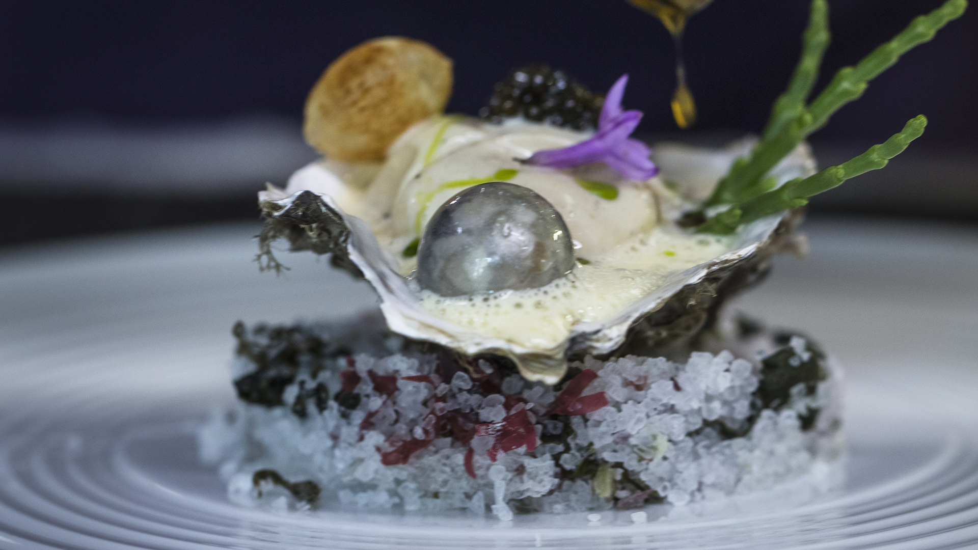 Rencontre entre l’Huître et le Taureau AOP Bio de Camargue
